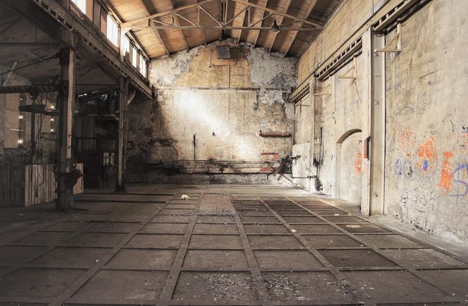 Hovedbilde The puppy in the hall 1/15