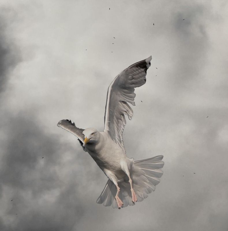 They have sought out many inventions #12 7/15