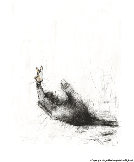 Hovedbilde Fjærild II 28/80