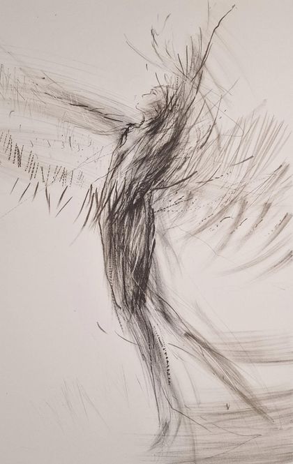 Hovedbilde En 61/160