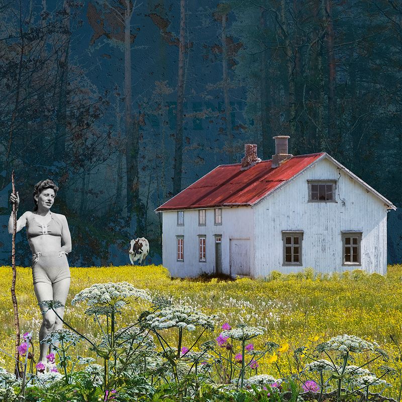 Seterjentens søndag 14/50