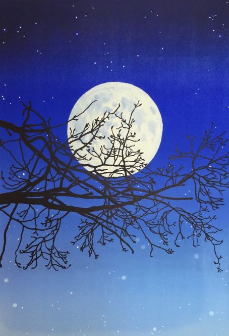 Hovedbilde Luna 37/90