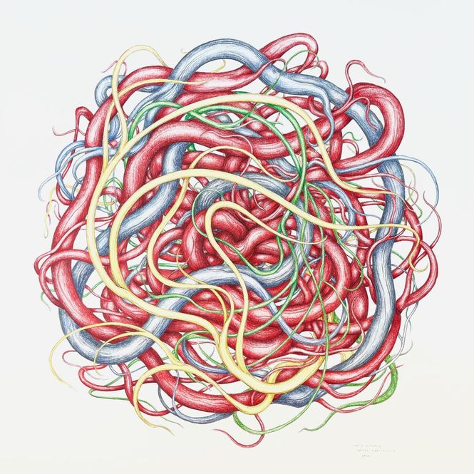 Hovedbilde Mage, original tegning