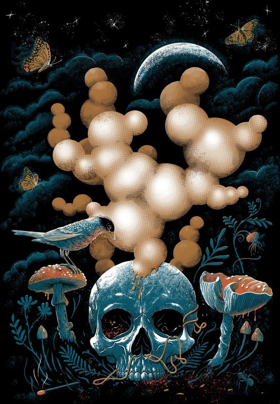 Angus Delirium 22/48