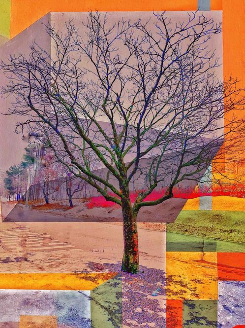 Hovedbilde My Tree 23/50