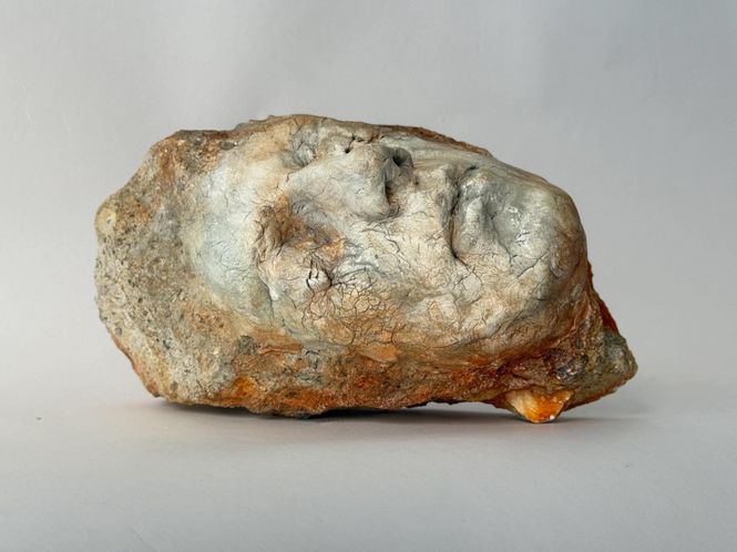 Hovedbilde Entropic Human