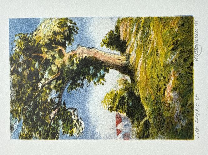 Hovedbilde Små lito