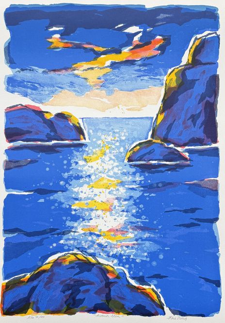 Hovedbilde Avenir bleu 30/99