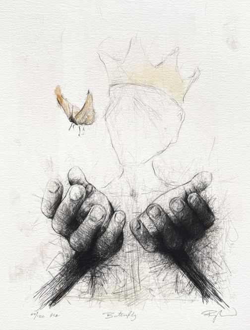 Hovedbilde Butterfly 64/120